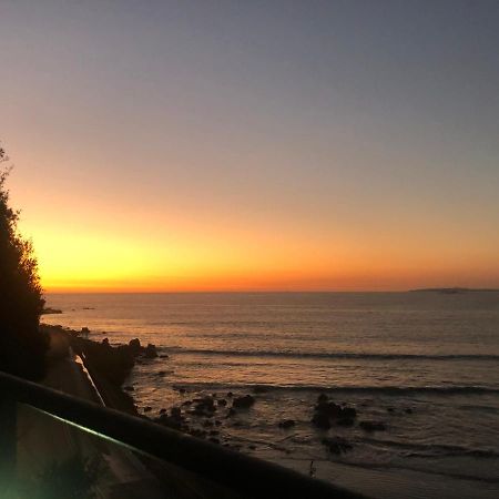 Pinguino En La Roca - Lodge Vina del Mar Dış mekan fotoğraf