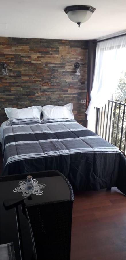 Pinguino En La Roca - Lodge Vina del Mar Dış mekan fotoğraf