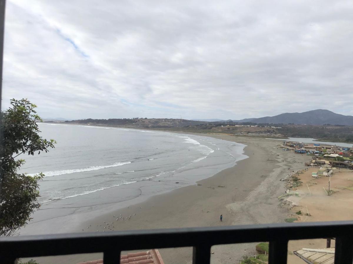 Pinguino En La Roca - Lodge Vina del Mar Dış mekan fotoğraf
