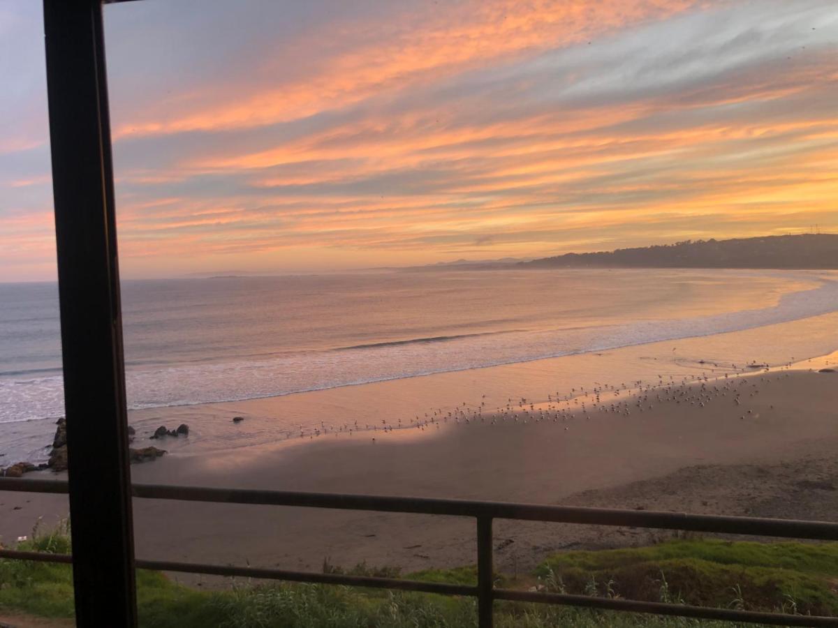 Pinguino En La Roca - Lodge Vina del Mar Dış mekan fotoğraf
