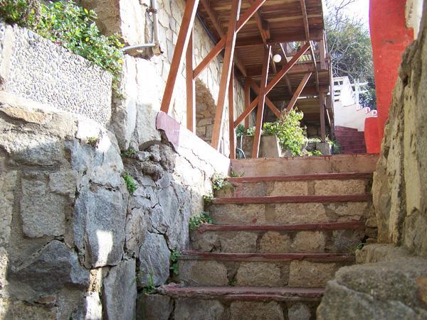Pinguino En La Roca - Lodge Vina del Mar Dış mekan fotoğraf