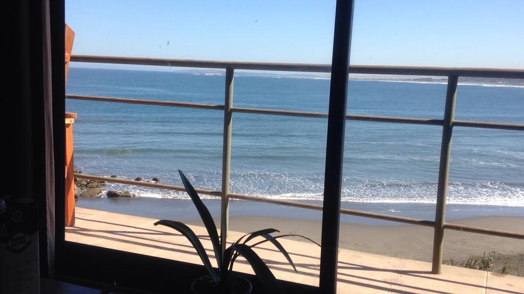 Pinguino En La Roca - Lodge Vina del Mar Dış mekan fotoğraf