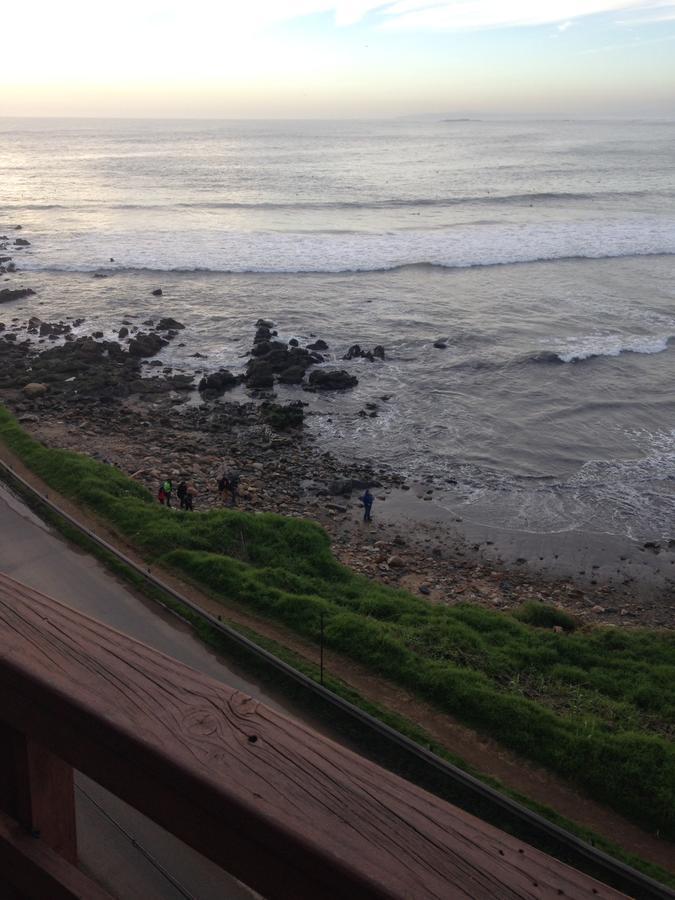 Pinguino En La Roca - Lodge Vina del Mar Dış mekan fotoğraf
