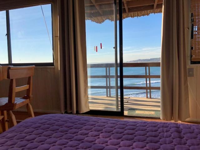Pinguino En La Roca - Lodge Vina del Mar Dış mekan fotoğraf