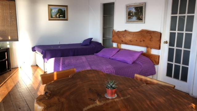 Pinguino En La Roca - Lodge Vina del Mar Dış mekan fotoğraf